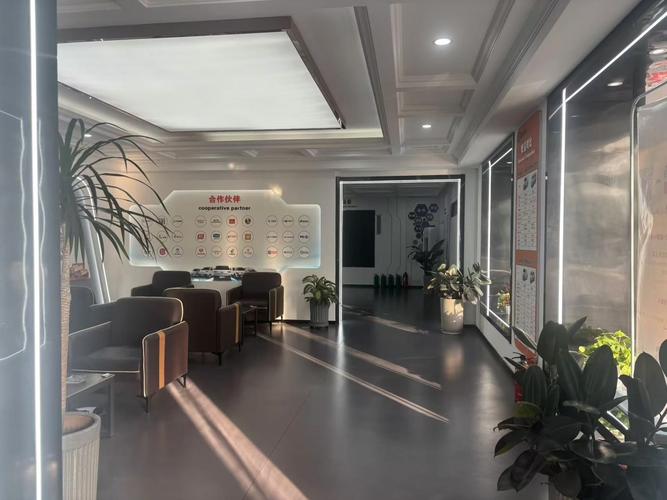 石家庄十大网络公司