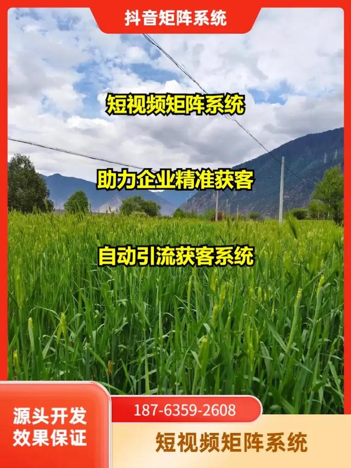 岳阳网络推广一年多少钱