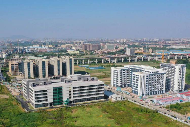 望牛墩网站建设公司