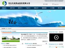 沧州网站建设的集成商