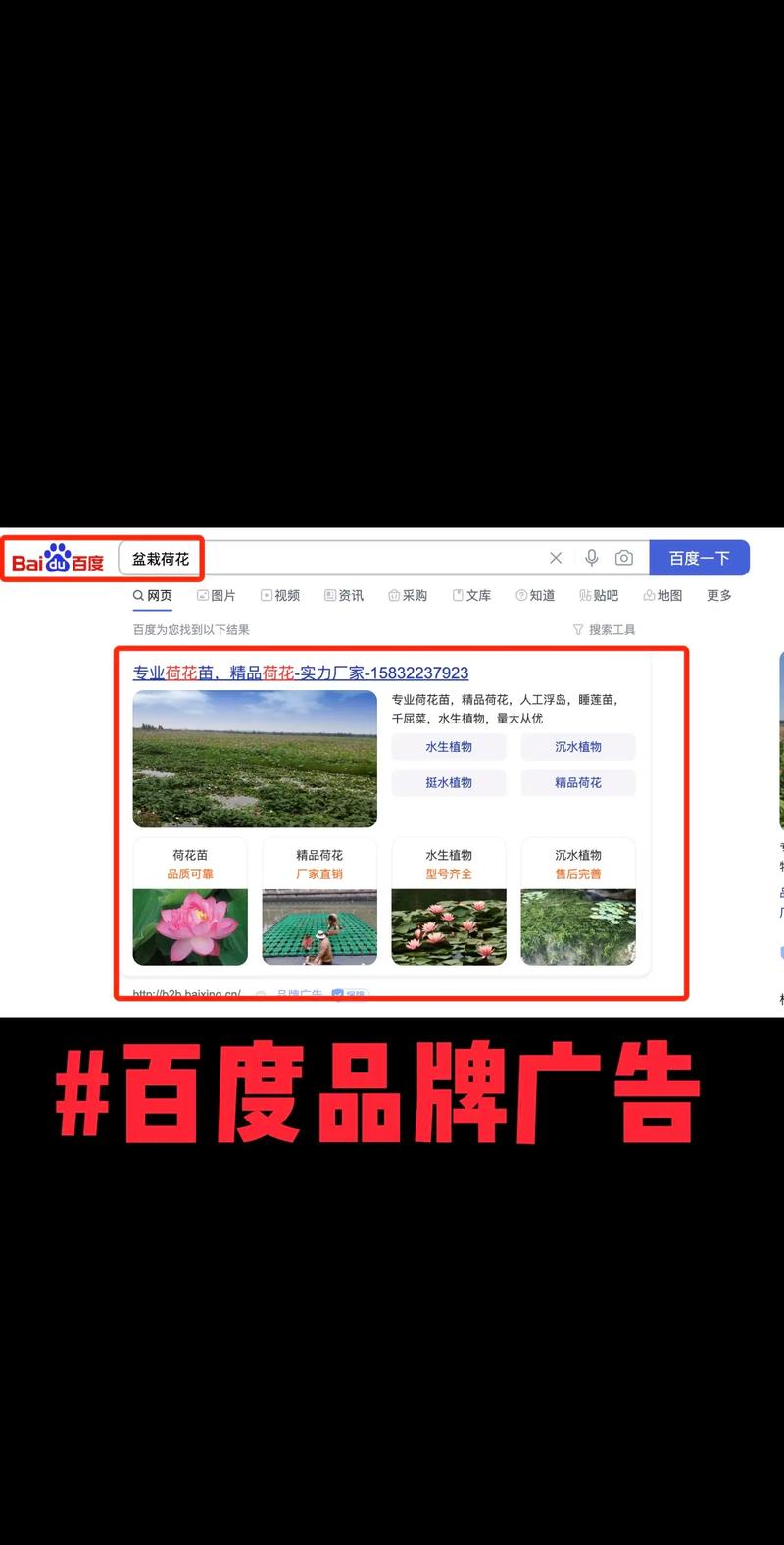 百度网站的建设