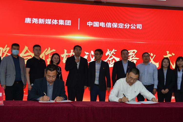 河北省保定市的网络公司