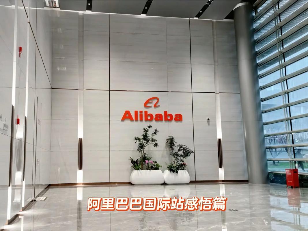 建设网站还是阿里巴巴