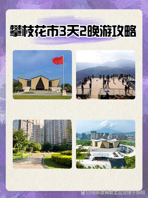 攀枝花网站建设哪家好