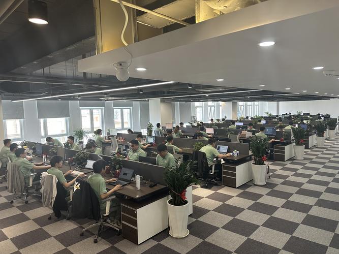 深圳网络公司 信科建站seo