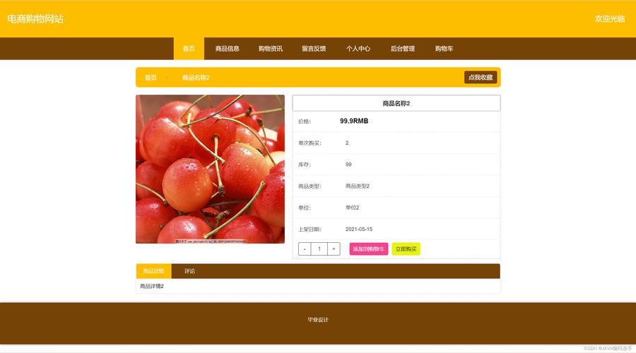 电子商务网站建设描述