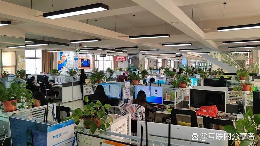 阳光互联网络有限公司