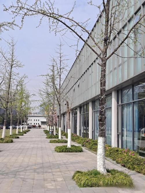 十五号网络科技有限公司