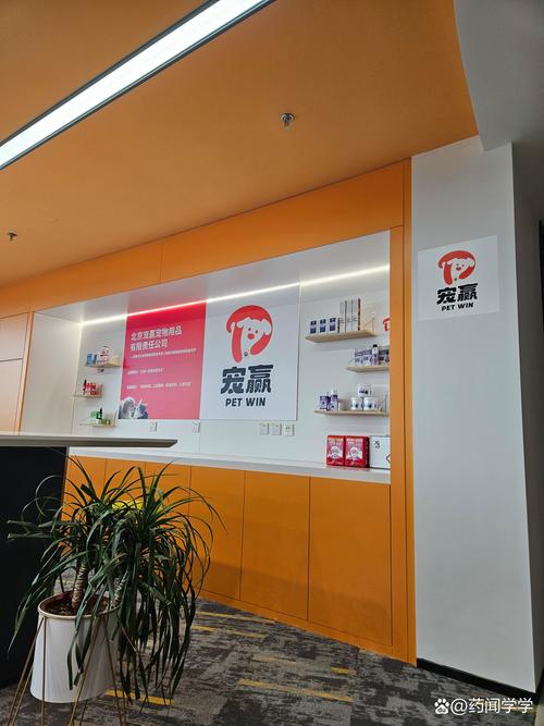 森元信网络科技有限公司