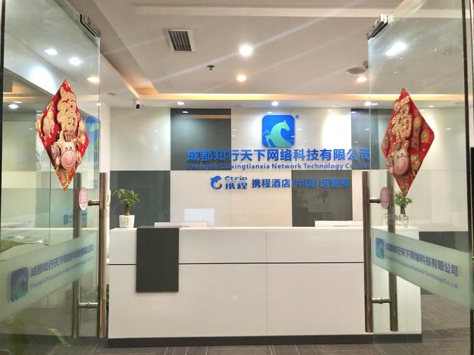 成都十大网络公司