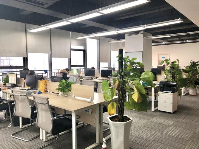 成都十大网络公司