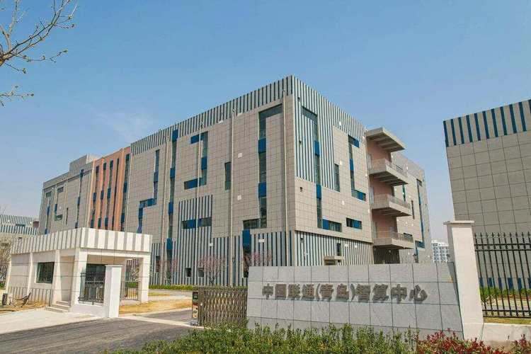 青岛信息网络公司有哪些