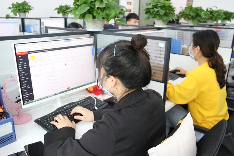 网络开发公司的主营业务