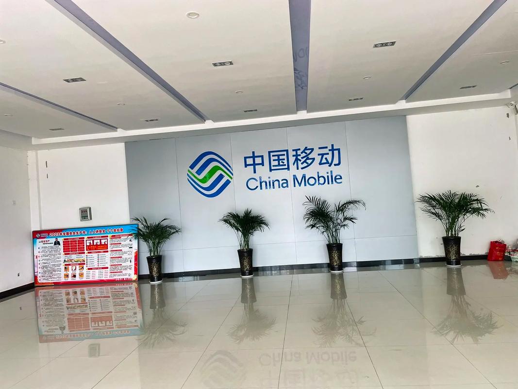 六盘水移动网络优化公司