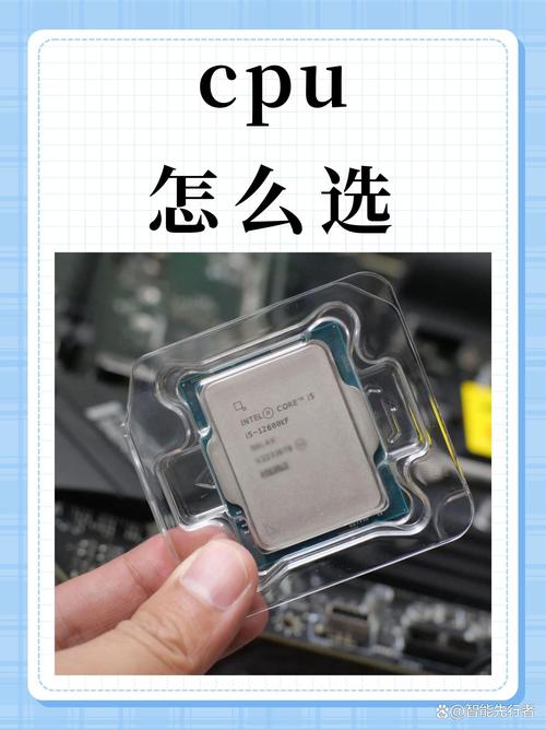 fm1支持什么cpu