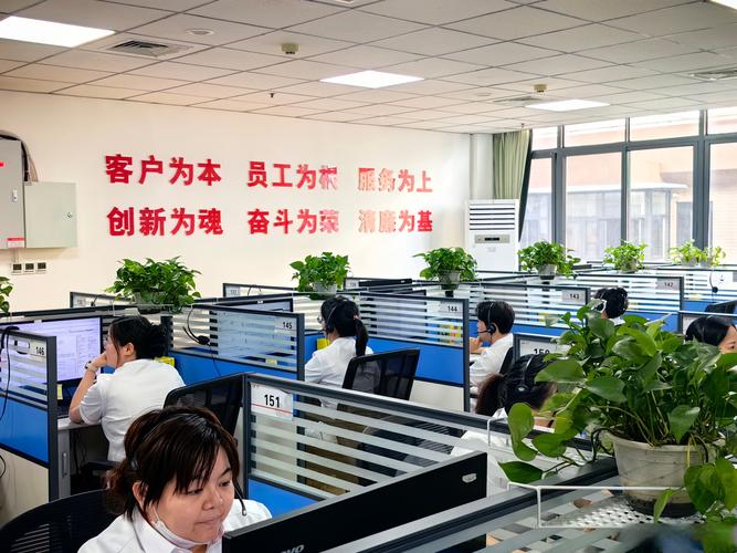 潍坊第一家网络公司