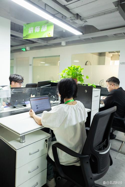 开封seo网络营销软件工作室