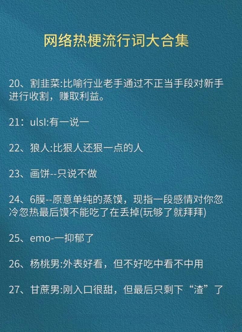 利用网络热词写一段短文