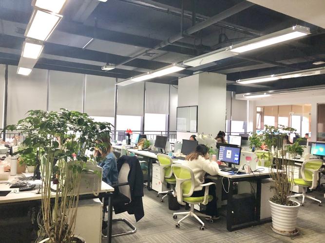 筑推网络科技有限公司