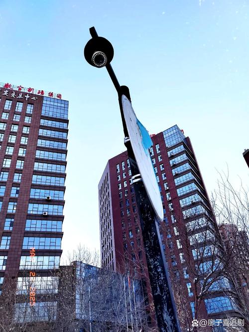 石家庄一毛网络科技