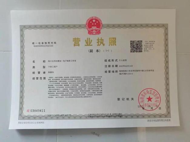 网络公司营业执照样本