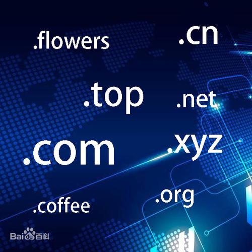 无线网络的CA域名