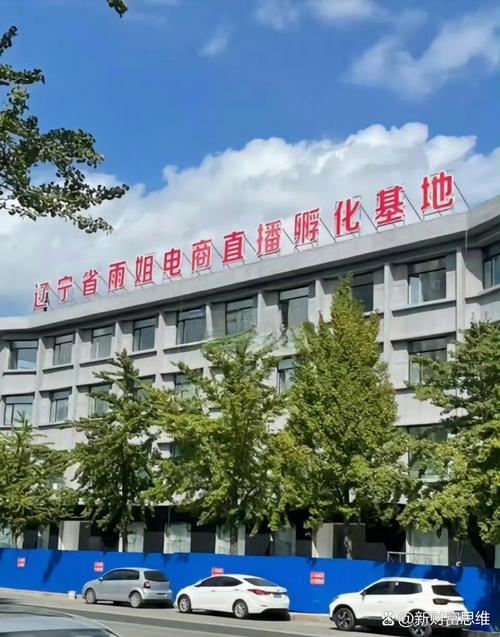 黑龙江网络营销推广公司