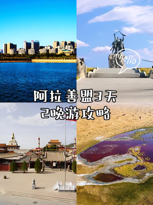 阿拉善盟网络营销