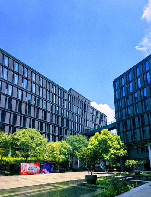 杭州网络公司集中地