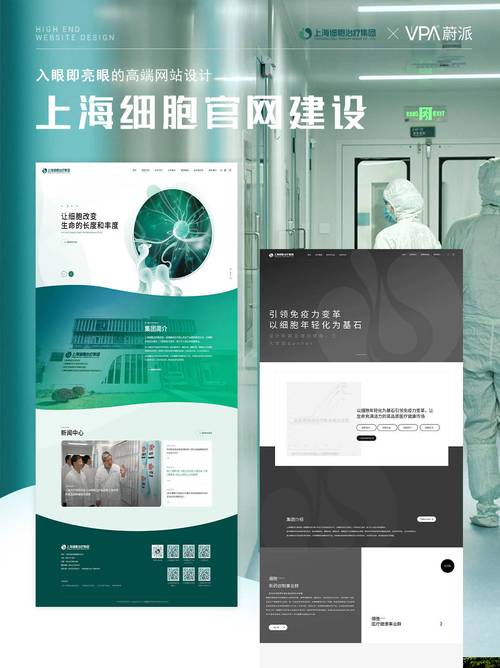 权威行业网站建设公司