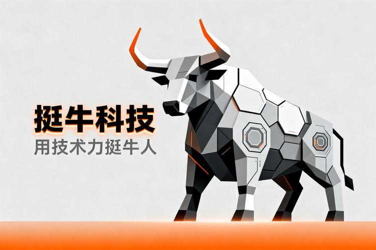 网牛网络技术有限公司