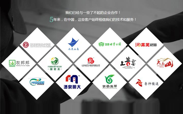 九零网络的企业网站