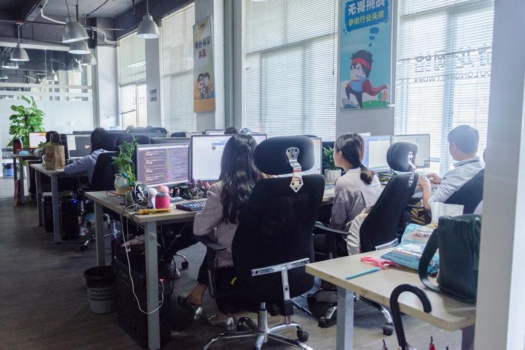 点龙网络科技有限公司