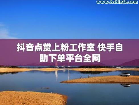 抖音涨粉丝免费软件,dy超低价刷业务网站