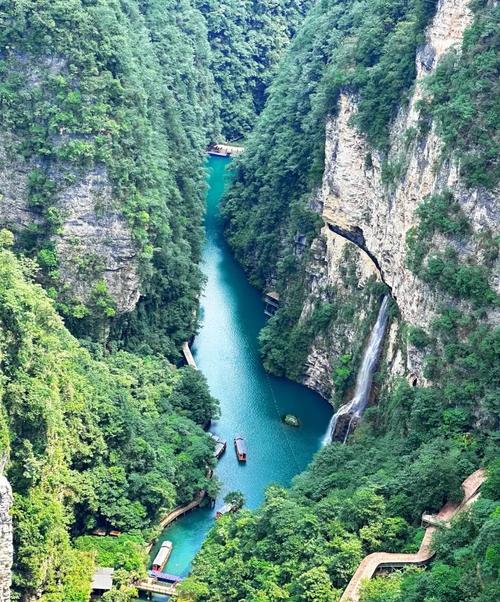 张家界最大网络部