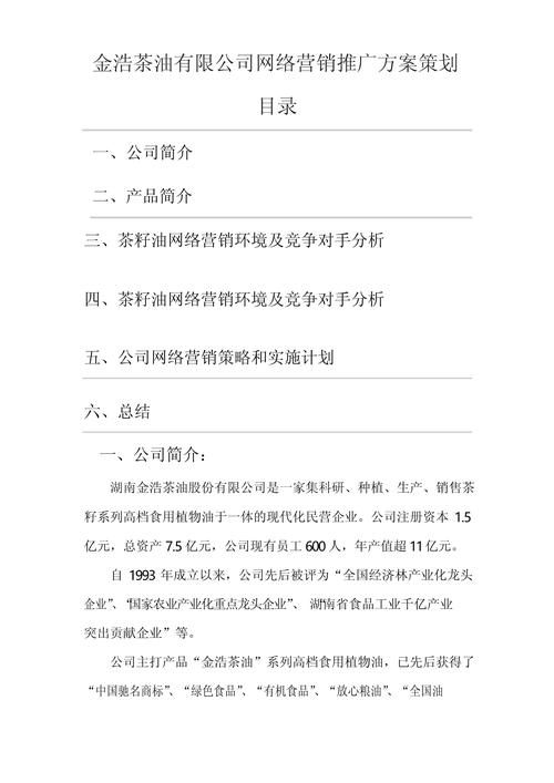 策划一个网络公司