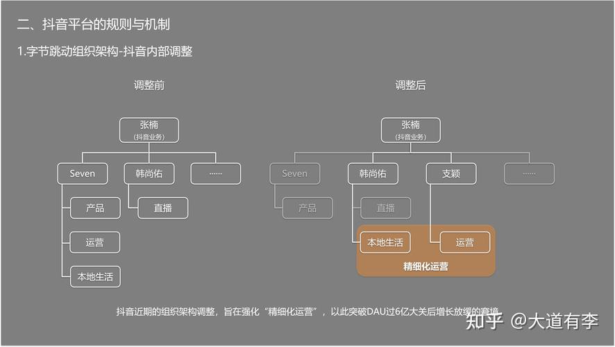 抖音刷浏览量平台慢刷，抖音最新业务架构图表
