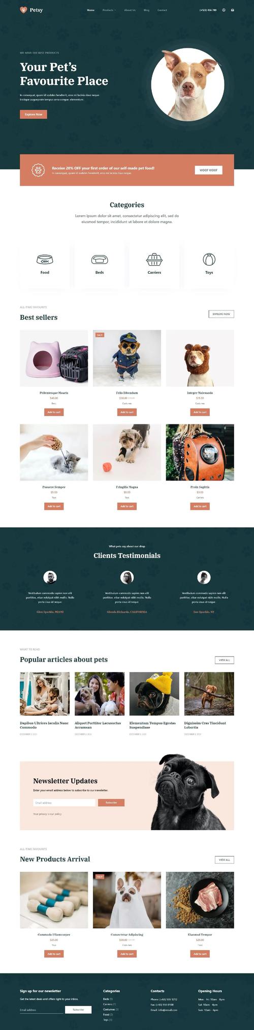 外贸网站建设公司方案