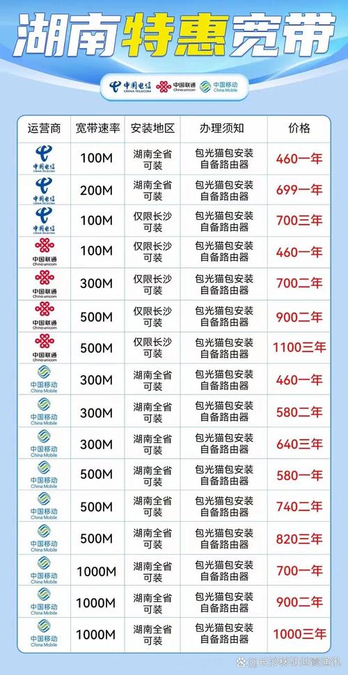 中国网络服务公司排名