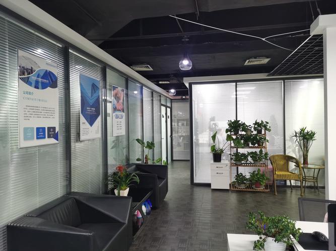 西安市有多少网络公司