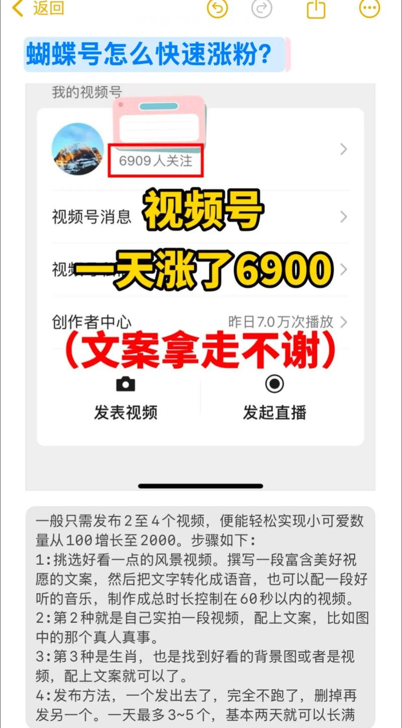 花蝴蝶抖音代刷，刷粉丝抖音