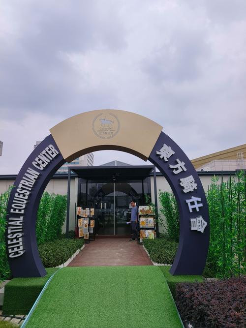 三人桩网络推广策划公司