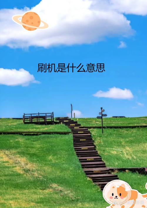 抖音双击刷机,业务网抖音