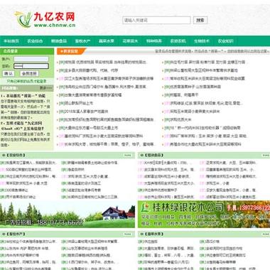 南宁网站建设解决方案