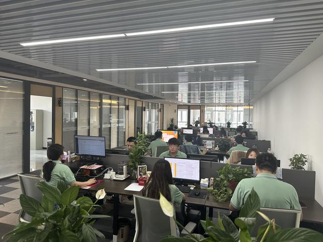 企业网络发展有限公司