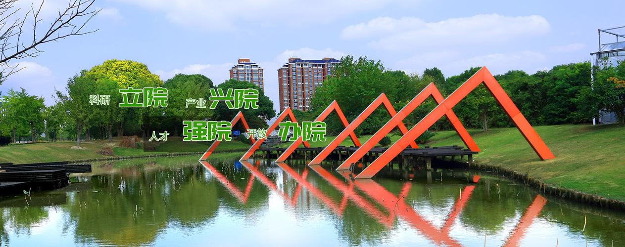 站群时看上海百首网络