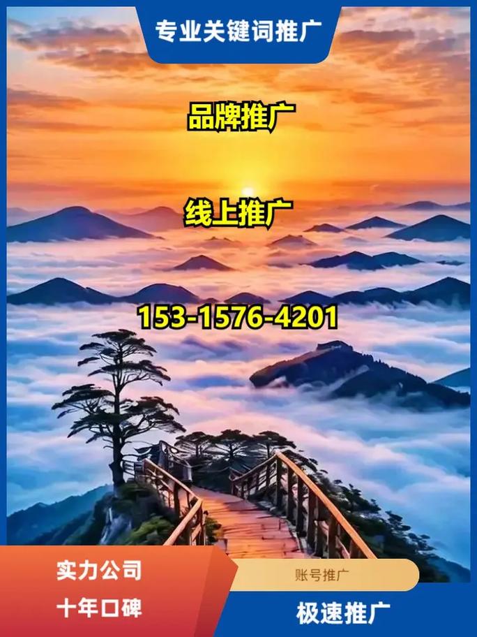 五指山网络推广公司