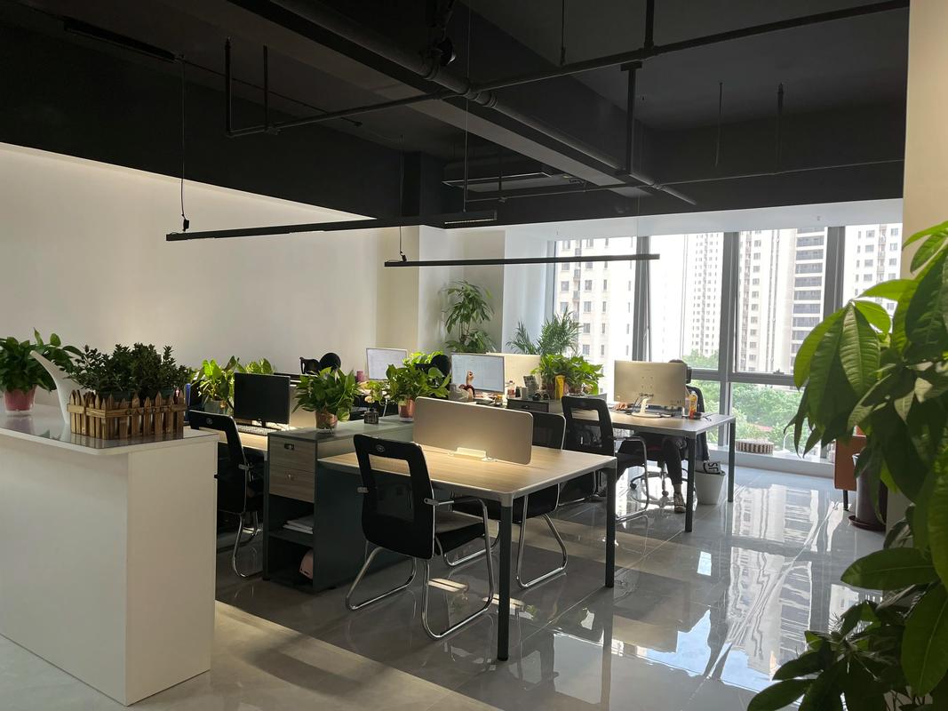 山东网站建设工作室