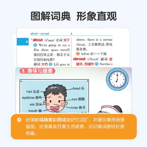 中国网络流行语英语字典