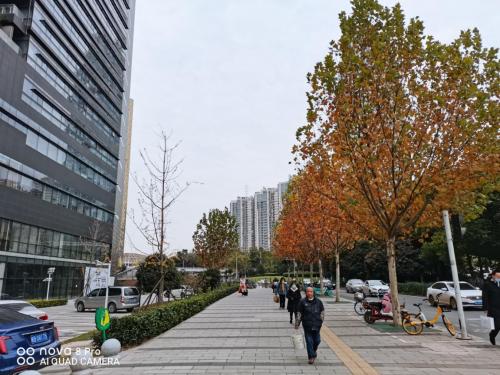 掌浪网络科技有限公司